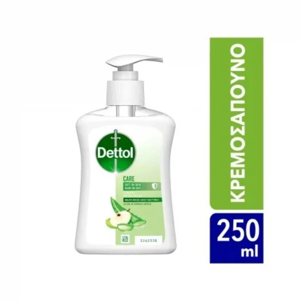 DETTOL Αντιβακτηριδιακό Κρεμουσάπουνο Care Aloe Vera 250ml