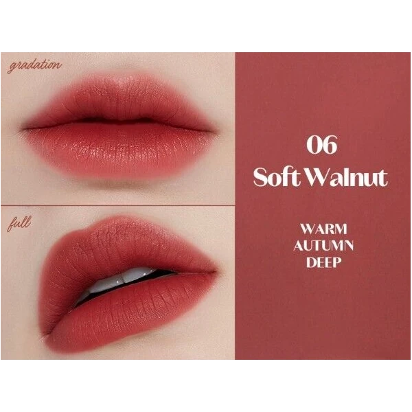 ETUDE HOUSE Fixing Tint Matte 06 Soft Walnut 4g