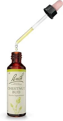 DR BACH Chestnut Bud Ανθοΐαμα Μάτι Αγριοκαστανιάς Νο7 20ml