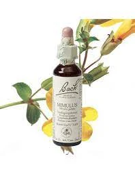 DR BACH Mimulus Ανθοΐαμα Μίμουλος Νο20 20ml