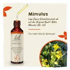 DR BACH Mimulus Ανθοΐαμα Μίμουλος Νο20 20ml