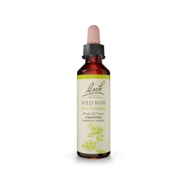 DR BACH Wild Rose Ανθοΐαμα Αγριοτριανταφυλλιά Νο37 20ml