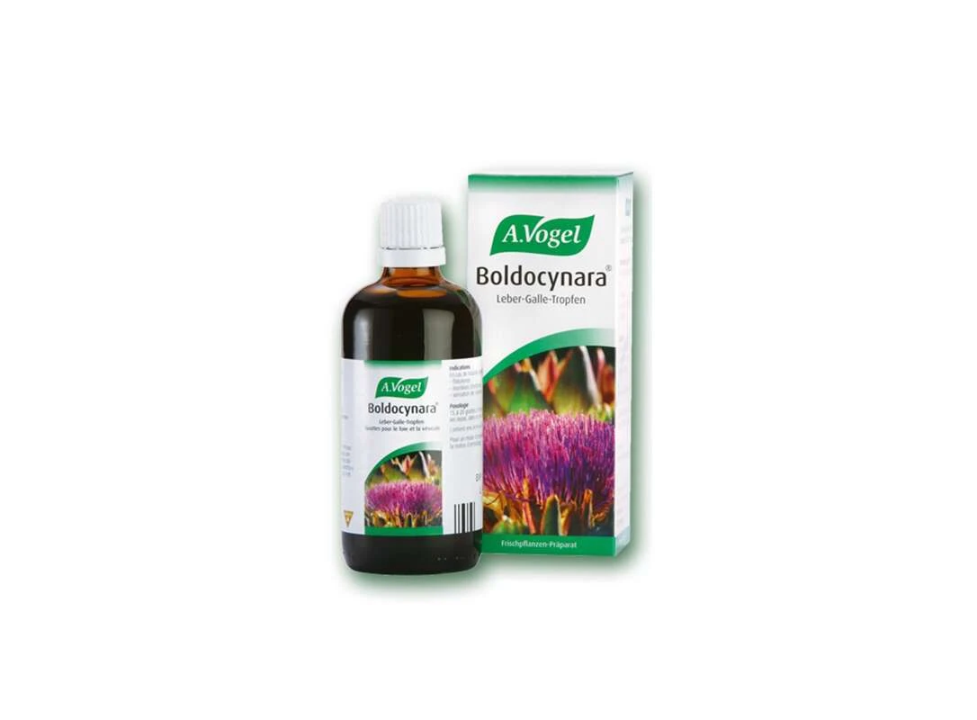 A. VOGEL Boldocynara 50ml